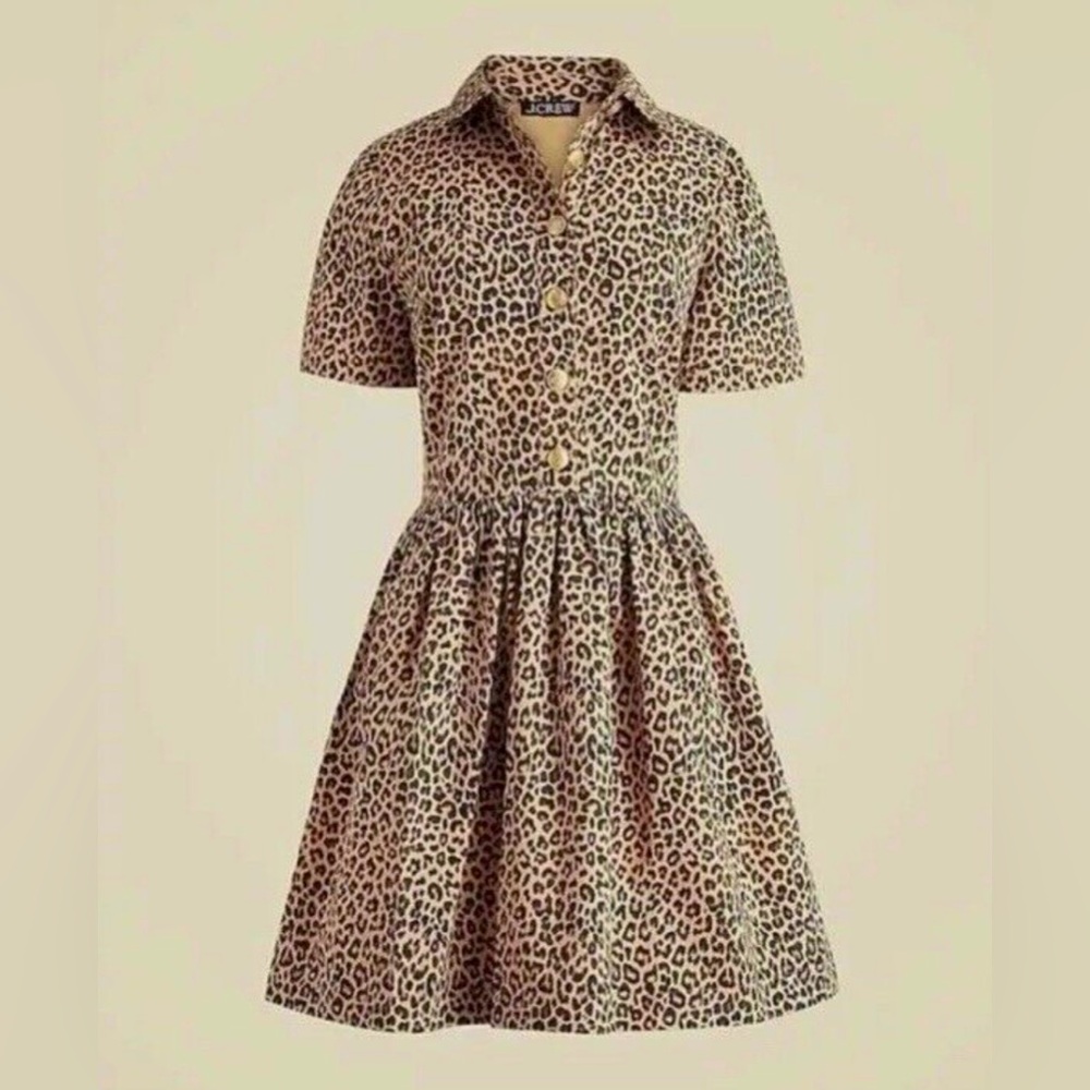 JCrew A-Line Shirt Dress with Notched Collar